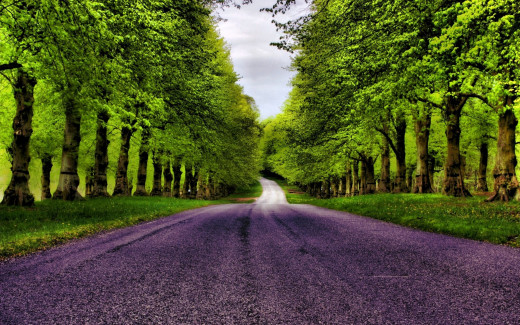 960612 (a): :2560x1600